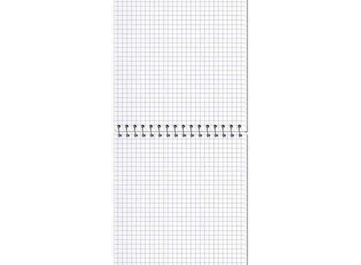 Блокнот Stenography А5 60 листов в ассортименте в клетку на спирали (145х203 мм)