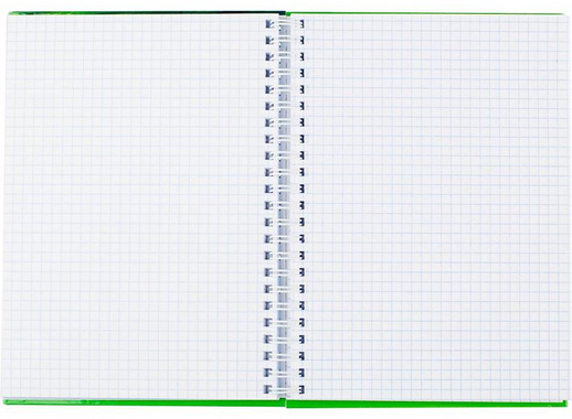 Бизнес-тетрадь Проф-пресс Пастораль A5 120 листов разноцветная в клетку на спирали (155x205 мм)