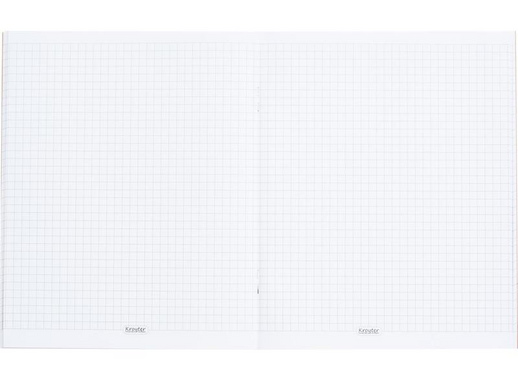 Бизнес-тетрадь Kroyter Офис А5 48 листов разноцветная в клетку на скрепке (165х206 мм)