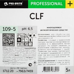 Средство антисептическое для рук и поверхностей Pro-Brite CLF (109-5) 5 л