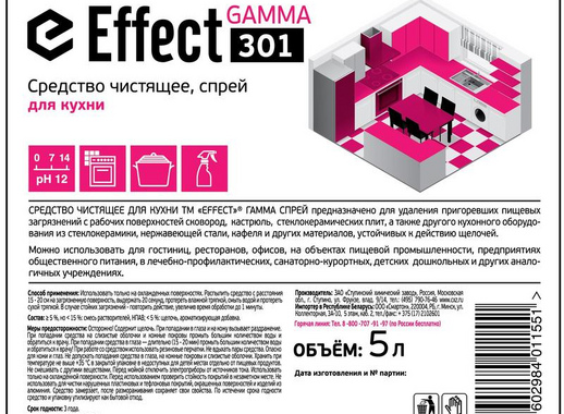 Чистящее средство для кухни удаление жира и нагара Effect Gamma 301 5 л (концентрат)