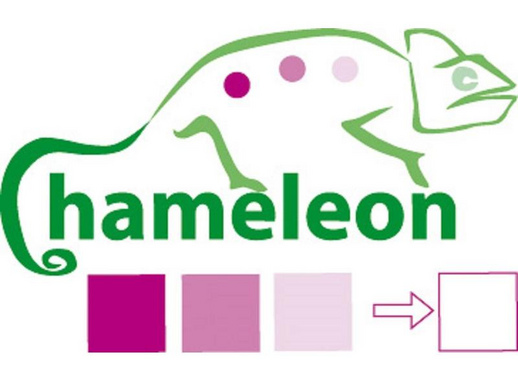 Клей-карандаш Kores Chameleon 8 г цветной (исчезающий цвет)