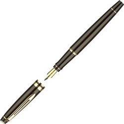 Ручка перьевая Waterman Expert S0951640 цвет чернил синий цвет корпуса черный с позолотой (артикул производителя S0951640)