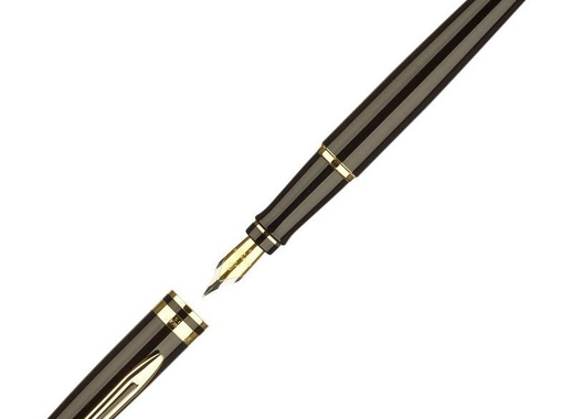 Ручка перьевая Waterman Expert S0951640 цвет чернил синий цвет корпуса черный с позолотой (артикул производителя S0951640)