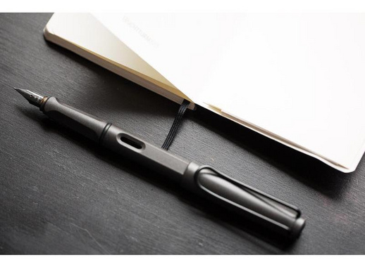 Ручка перьевая Lamy 017 Safari Умбра цвет чернил синий цвет корпуса темно-коричневый (артикул производителя 4000202)