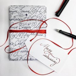 Ручка перьевая Lamy Joy цвет чернил синий цвет корпуса черный (артикул производителя 4000158)